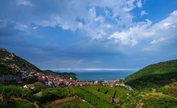 [Shandong] Discover Qingdao's Coastal Majesty: Private Laoshan Day Tour - Image 3