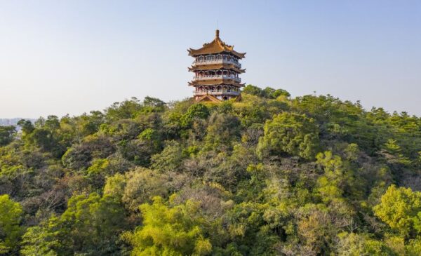 [Shandong] Luxury 2-Day Qingdao & Laoshan Private Tour - Image 5