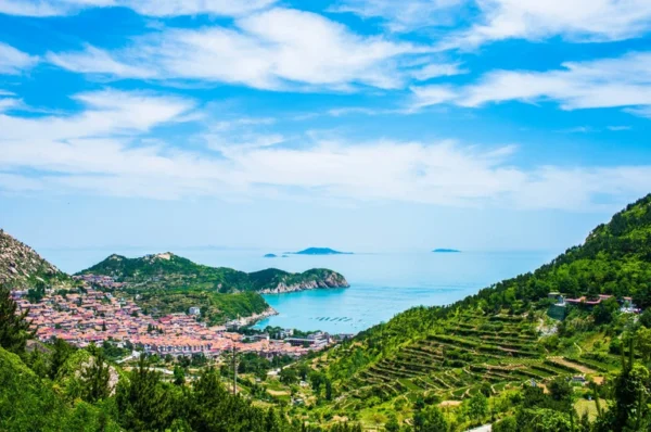 [Shandong] Qingdao Discovery: 4-Day Qingdao & Laoshan Premium Trip - Image 5