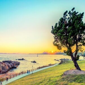 [Shandong] Qingdao Discovery: 4-Day Qingdao & Laoshan Premium Trip