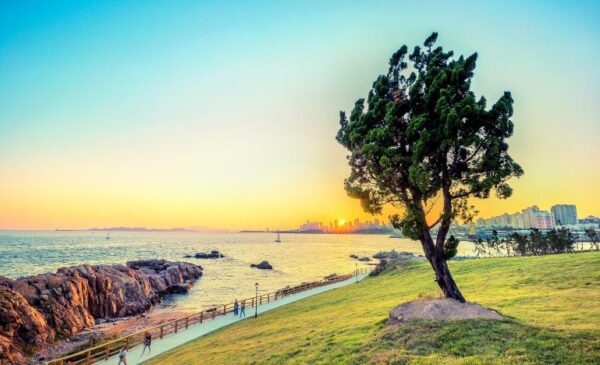 [Shandong] Qingdao Discovery: 4-Day Qingdao & Laoshan Premium Trip