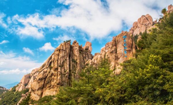 [Shandong] Discover Qingdao's Coastal Majesty: Private Laoshan Day Tour - Image 2